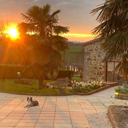 セーヴルモン La Basse Monniere Bed & Breakfast エクステリア 写真