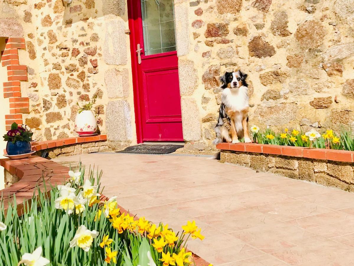 セーヴルモン La Basse Monniere Bed & Breakfast エクステリア 写真